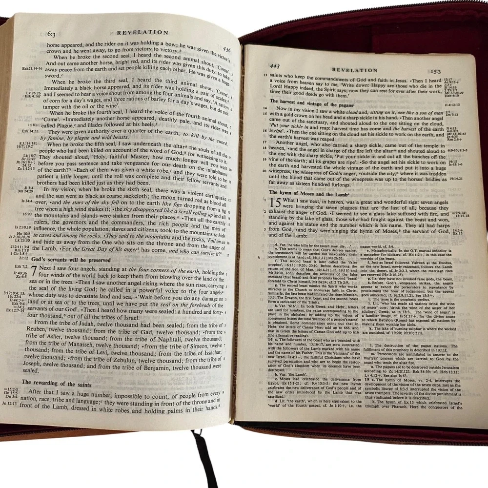 Vintage 1966 The Jerusalem Bible Doubleday Hardcover with Leather Zippered Case